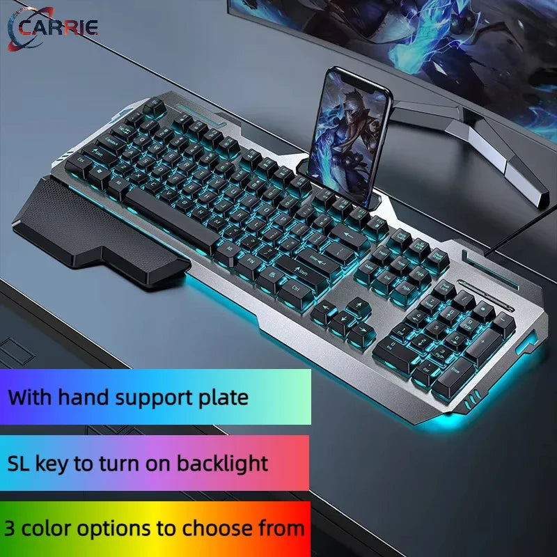 Computer Accessories